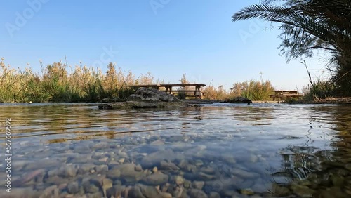 A spring of fresh and clear water, in the Einat Tzukim nature reserve. On the coast of the Dead Sea - Israel.