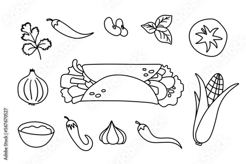 Mexican fast food burrito recipe ingredients. Isolated vector flat illustration for decor and design.