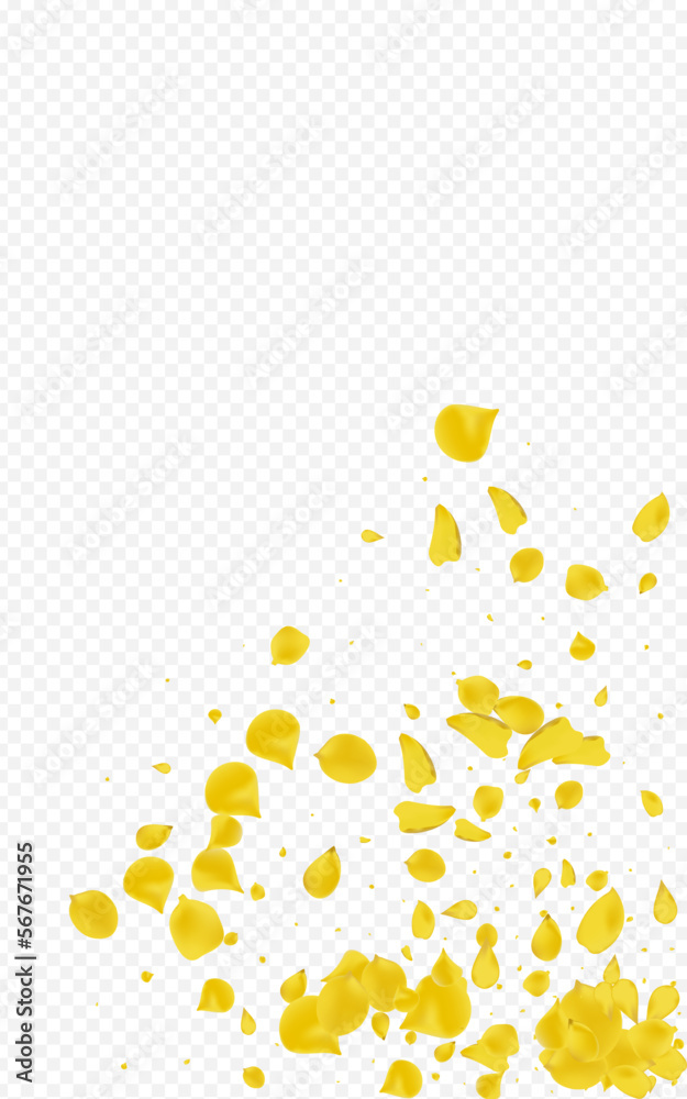 Canary Floral Japanese Vector Transparent
