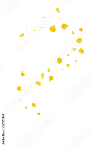 Yellow Blossom Flying Vector White Background.
