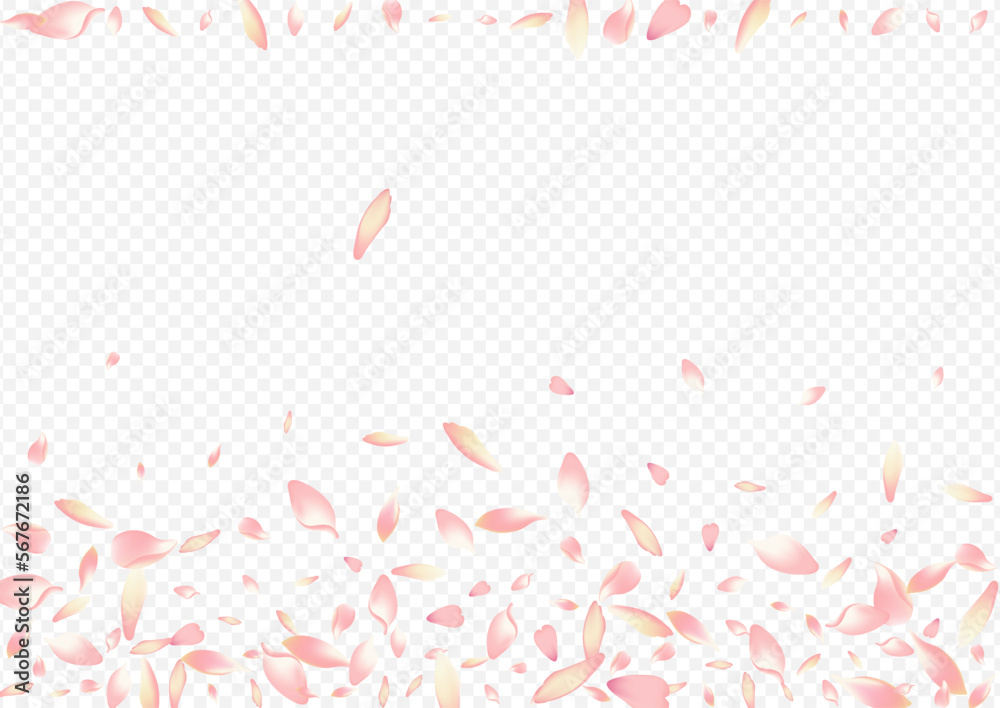 White Blossom Vector Transparent Background. Rose