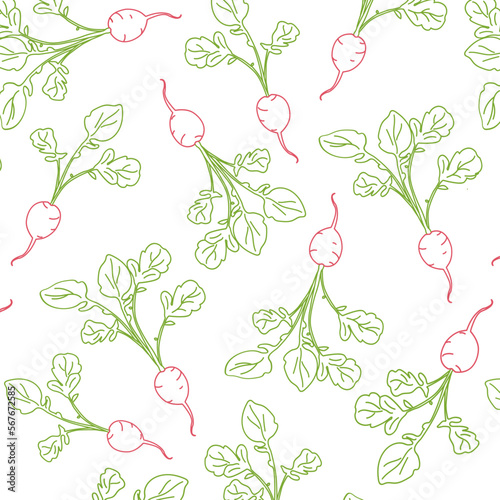 doodle set seamless pattern with radish on white and green, red lines background. Vector spring background for a seedling store