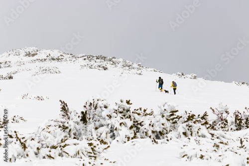 Unrecognizable people with a dog walking in the winter mountain.