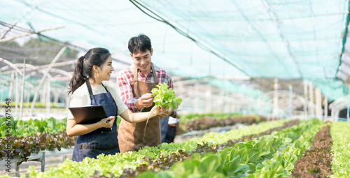 Young Asian farmers working in vegetables hydroponic farm with happiness. Portrait of man and woman farmer in farm