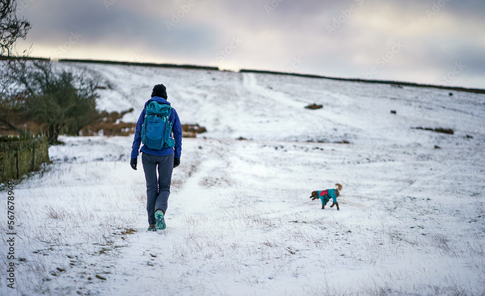 A hiker and their dog walking up a hill through the snow at Buckshott Fell in winter near Blanchland, Northumberland in England UK.