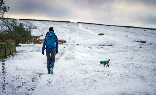Obraz na płótnie A hiker and their dog walking up a hill through the snow at Buckshott Fell in winter near Blanchland, Northumberland in England UK. w salonie