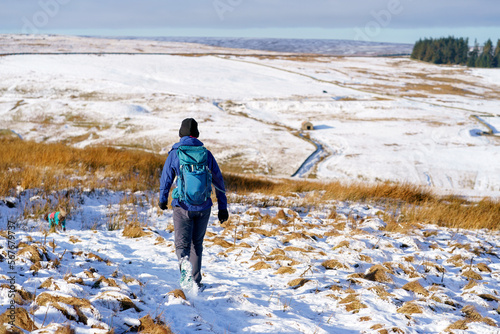 A hiker walking across the moors below the summit of Bolt's Law towards Boltshope in winter near Blanchland, Northumberland  in England UK. photo