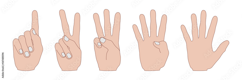 Counting fingers pose, hand gestures vector illustration set Counting fingers pose, hand gestures vector illustration set