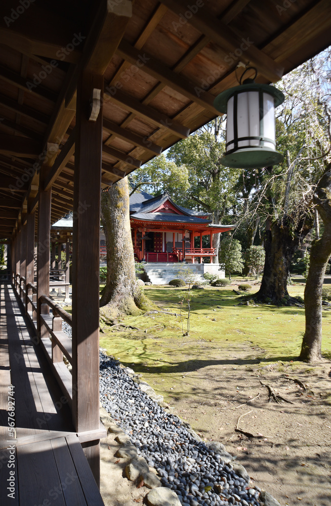 Fototapeta premium 大覚寺 回廊から霊明殿を望む 京都市右京区嵯峨