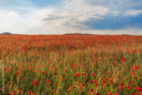 Digital painting of a red poppy field at sunset in the Peak District National park, UK