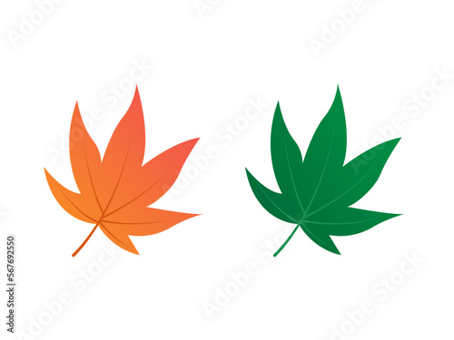 Leaf vector design and clip art.