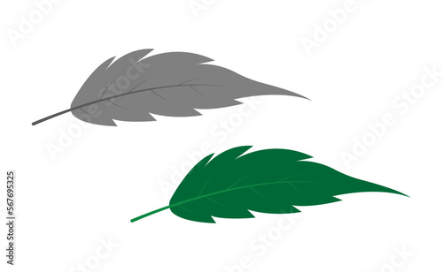 Natural green leaf vector design and illustration.