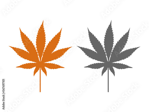 Hemp marijuana cannabis leaf vector design and illustration.