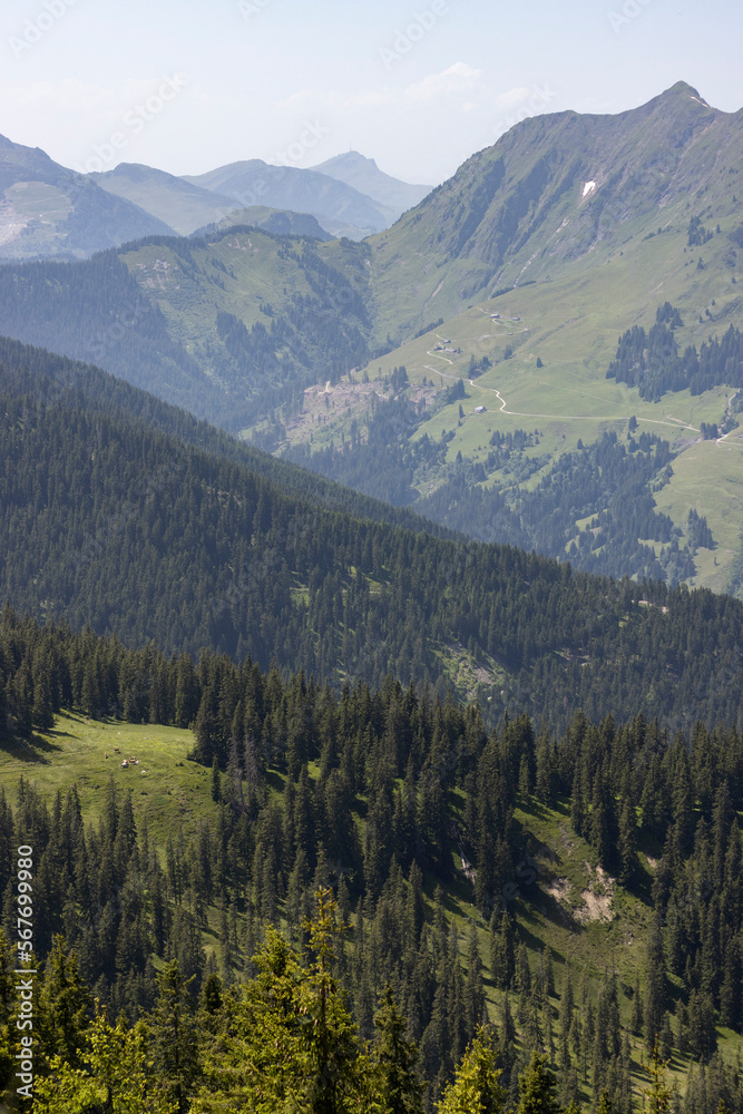 Adventure summer hike in mountains Leogang Austria