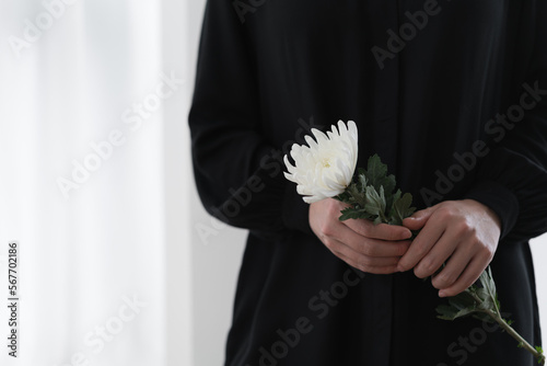 Hand holding the white chrysanthemum
