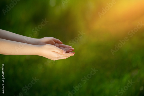 hands on a green background © meegi