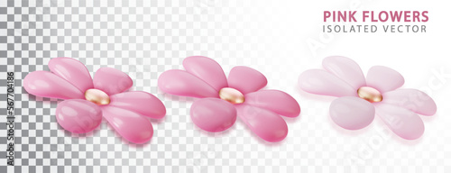 Pink realistic flowers view from above realistic isolated. Flower blossom sakura. Design spring tree illustration.