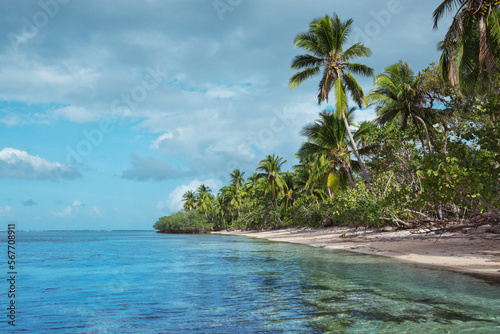 Travel background with green palm trees on caribbean beach.