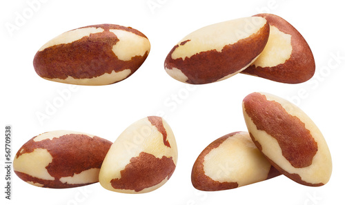 Collection of delicious brazil nuts cut out photo