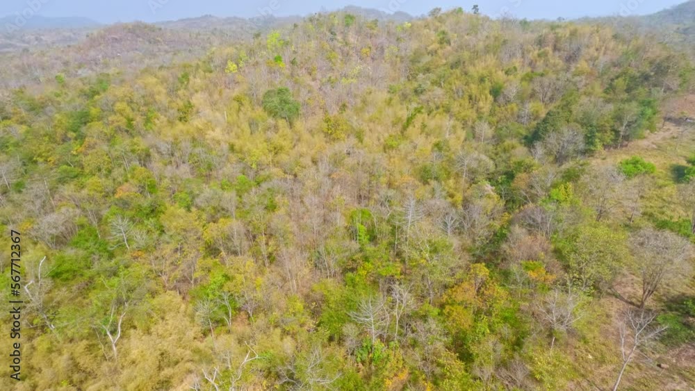 Aerial view shot of forest winter in Thailand. Aerial view shot of forest winter in Thailand.