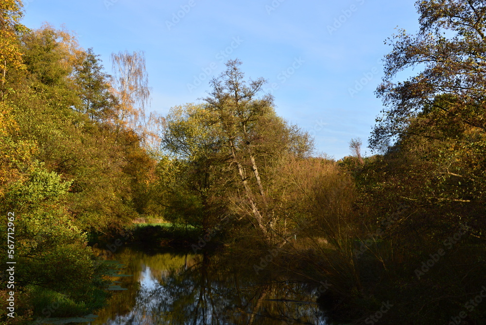 Landscape in Autumn at the River Böhme in the Town Walsrode, Lower Saxony