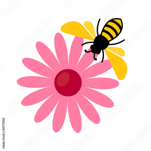 bee and flower flat vector illustration design clipart