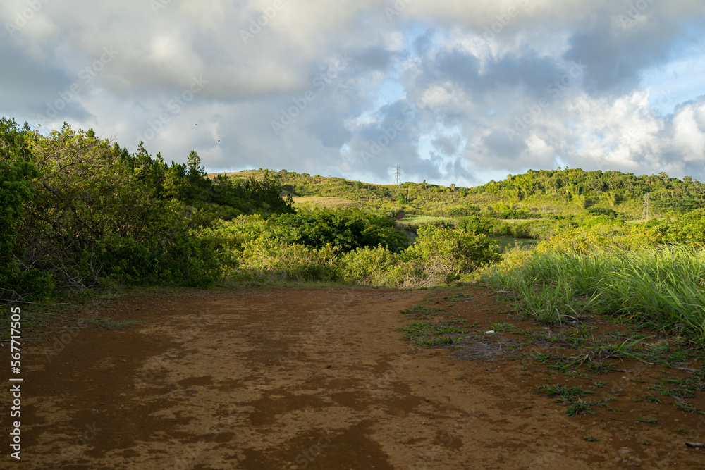 Obraz premium Mauritius tropical countryside with rainforest