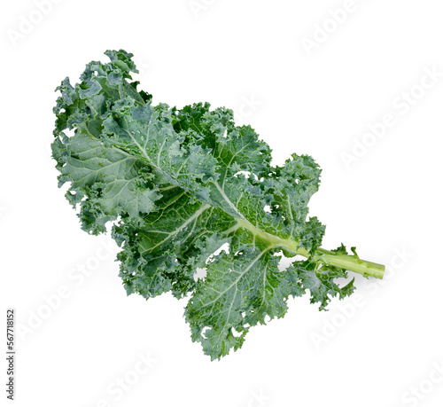 Fresh kale with water drops isolated on white background