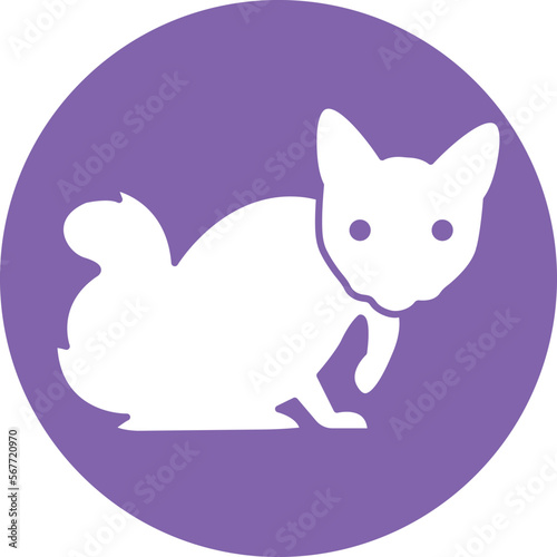 Cat Vector Icon

