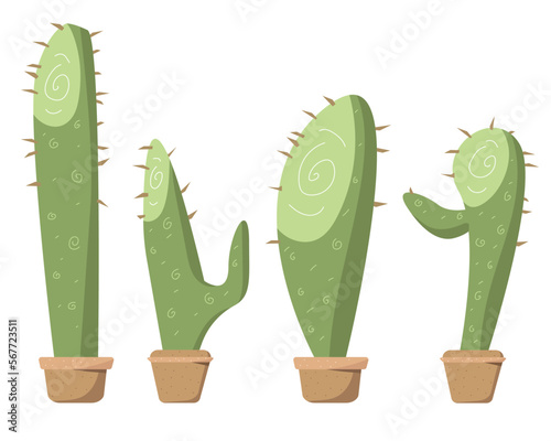 Green cactus on a white background for decoration