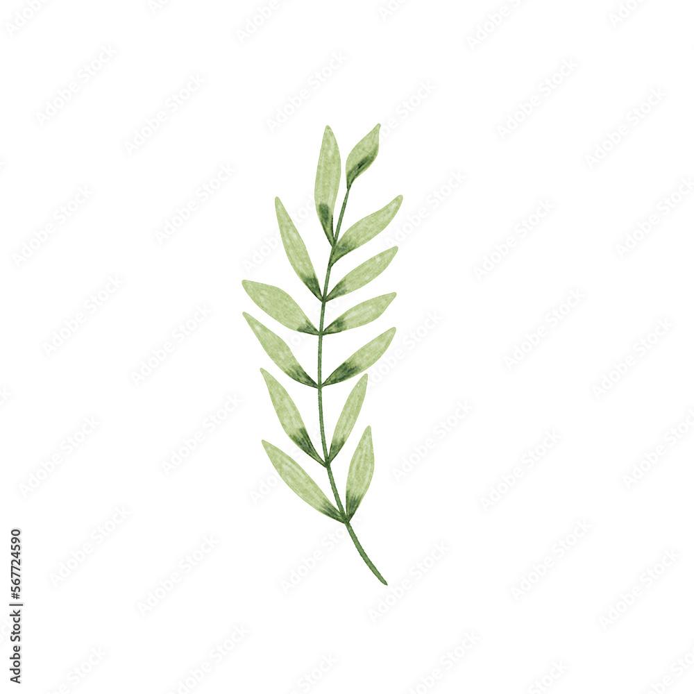 Obraz premium Botanical spring summer leaf watercolor illustration for wedding invitation card, decoration, frame and wreath