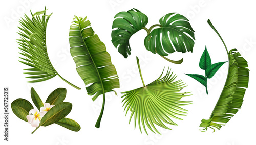 Tropic flowers, exotic plants, spa leaf realistic elements. Green jungle, nature botanic orchid, monstera foliage. Floral beach. Summer 3d isolated elements. Vector illustration exact set