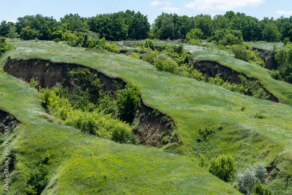 Ravine covered with greenery. Landscape valley with geological faults ...