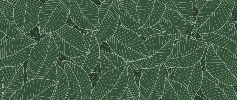 Luxury botanical green nature background vector. Floral leafy tropical pattern, green philodendron with monstera plant lines. Illustration for packaging, print, decor, banner.