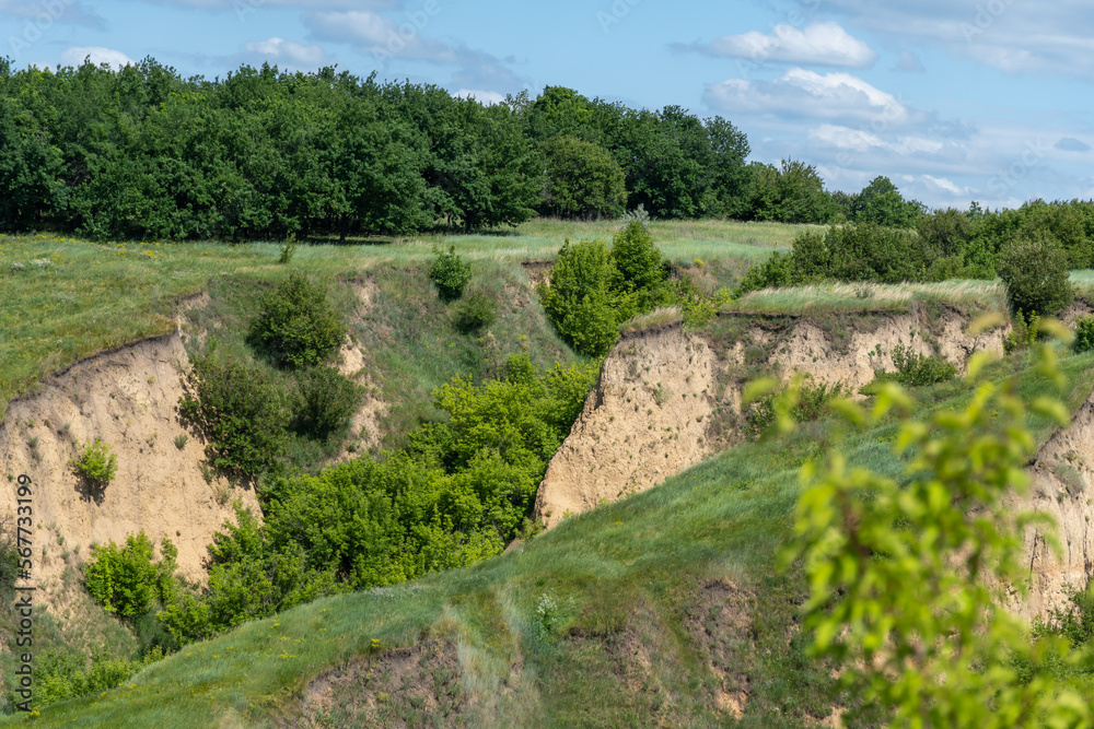 Ravine covered with greenery. Landscape valley with geological faults. Earthen mountains and bumps relief. Hill beam with protrusions and recesses. Grass and trees on slope canyon. Location recreation Ravine covered with greenery. Landscape valley with geological faults. Earthen mountains and bumps relief. Hill beam with protrusions and recesses. Grass and trees on slope canyon. Location recreation