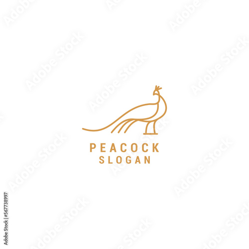 Peacock line art logo vector icon design template