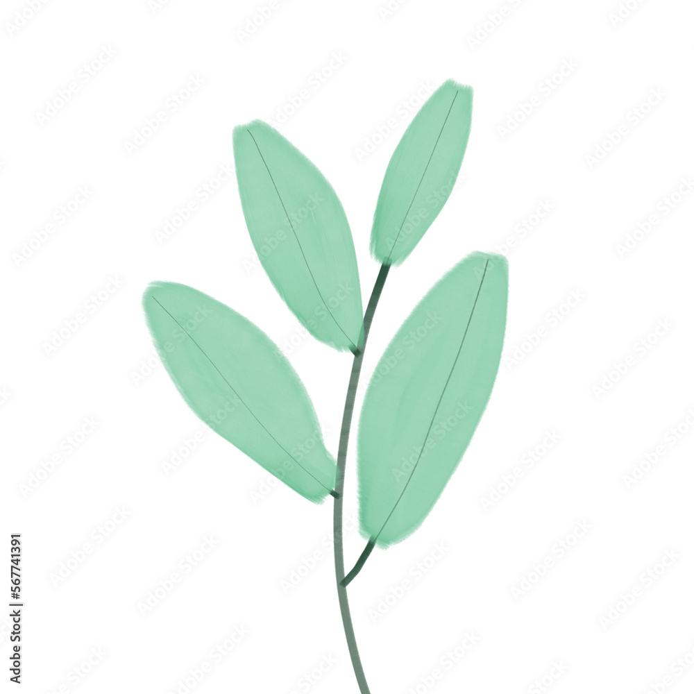 Naklejka premium flower, leaf, plant, watercolor, watercolor flower