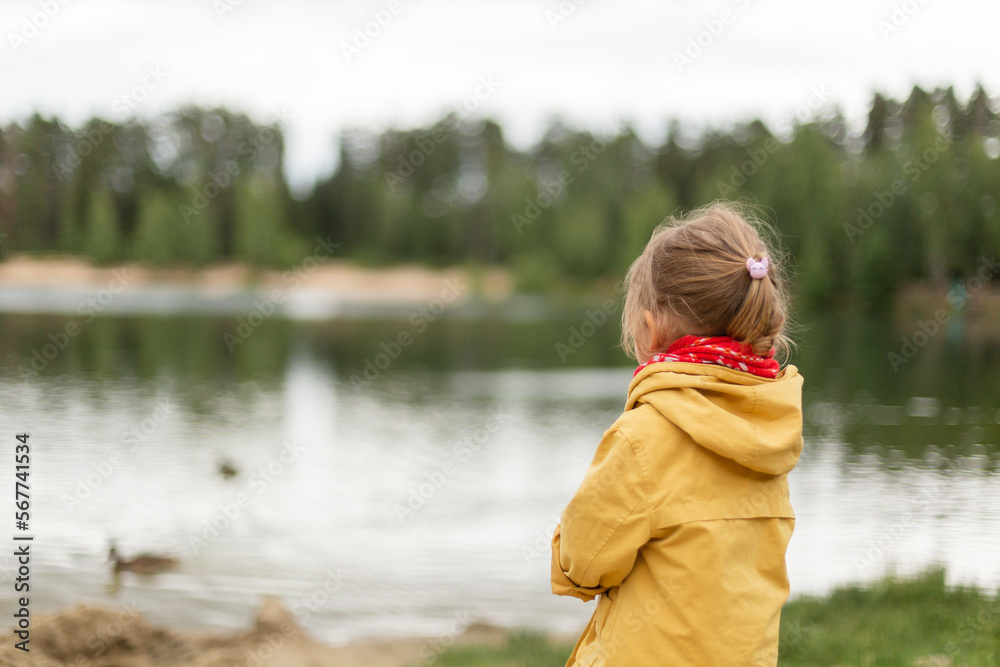 Little girl contemplating the lake and ducks Little girl contemplating the lake and ducks