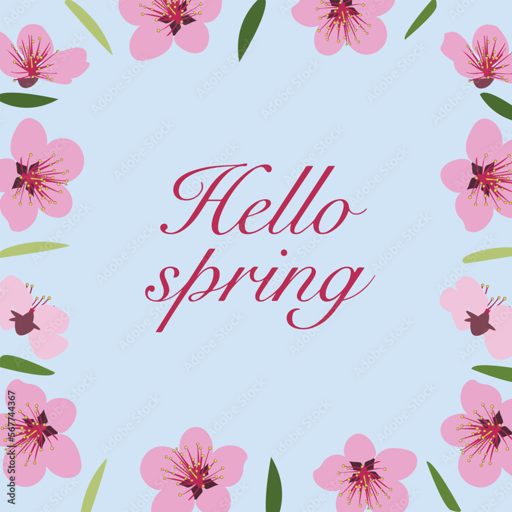 Background of blooming pink flowers and lettering hello, spring. . Vector illustration.