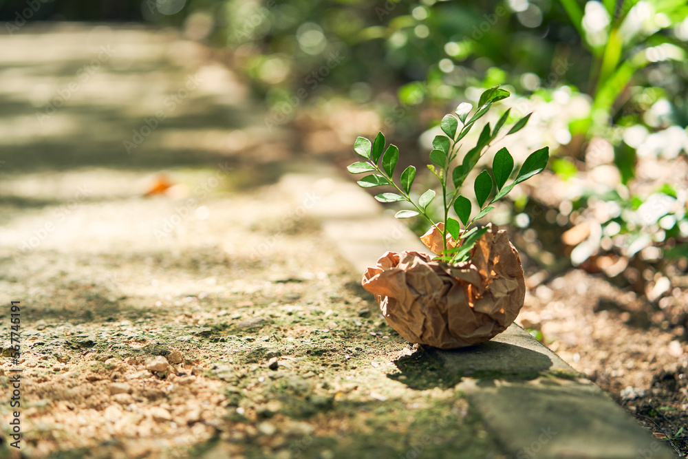 Paper ball with a plant germinating on top. Flat lay Zero waste, eco friendly, natural organic plastic free concept. Paper ball with a plant germinating on top. Flat lay Zero waste, eco friendly, natural organic plastic free concept.