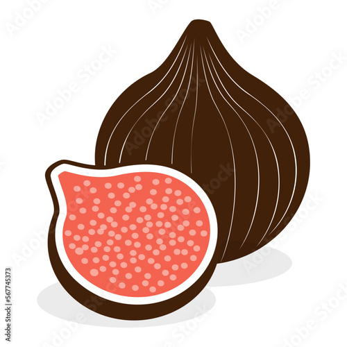 illustration of fig