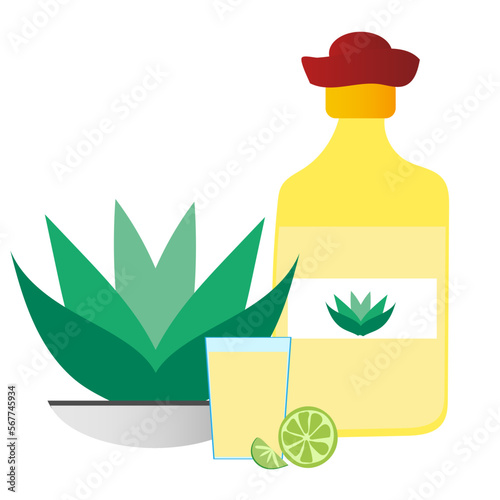 Cartoon set with bottle of tequila, glass, agave on white background for celebration design. Vector illustration design. Isolated objects.