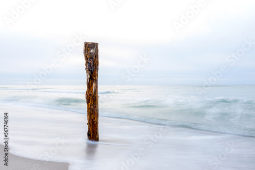 Darsser Ostseekueste - Weststrand Ahrenshoop photo