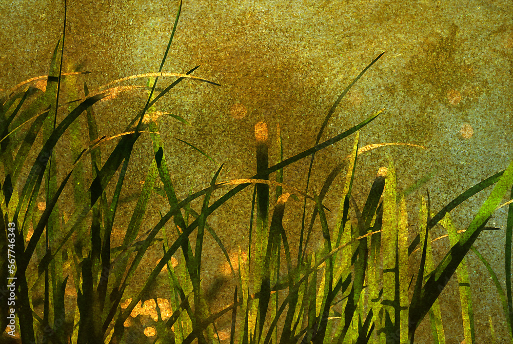 Naklejka premium Ilustracja grafika trawy na łące w pięknym oświetleniu