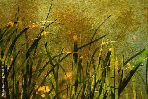 Ilustracja grafika trawy na łące w pięknym oświetleniu