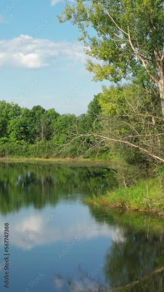 Flying over the calm summer lake in forest, sky reflection. Vertical video Flying over the calm summer lake in forest, sky reflection. Vertical video