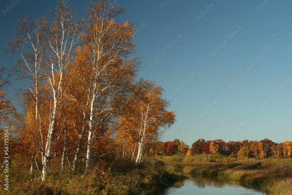Autumn pond 