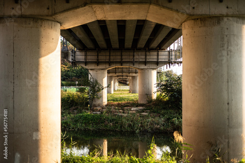 wall