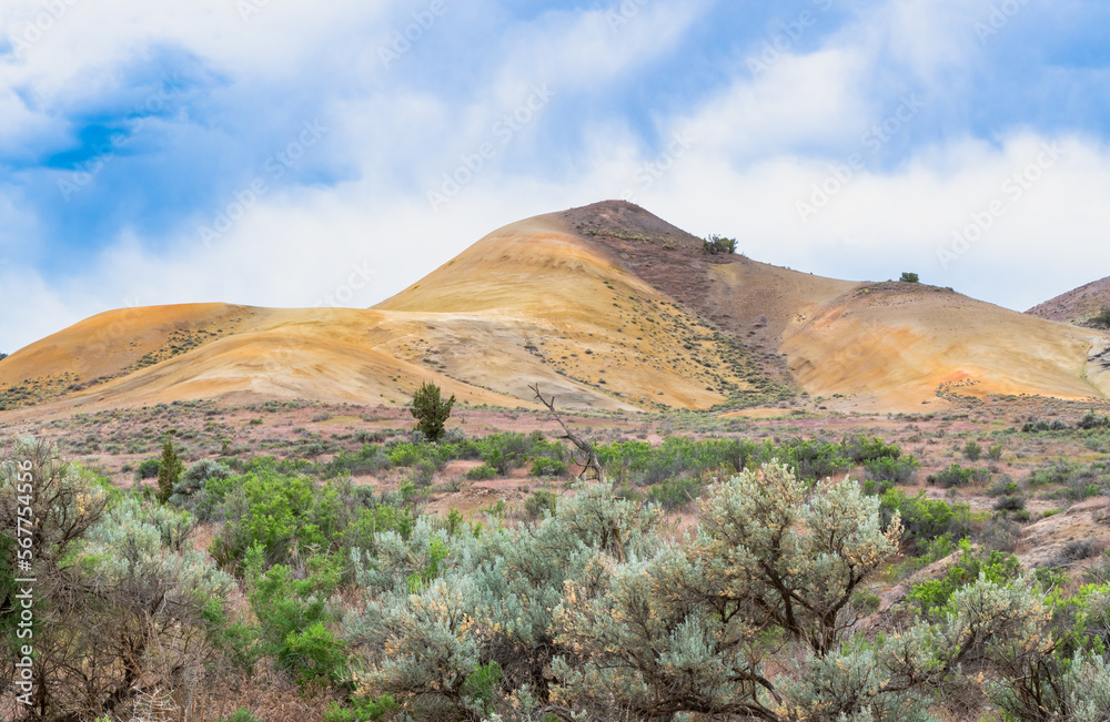 Valley of shrubs and colorful rock formation of the Painted Hills in Central Oregon, United States.