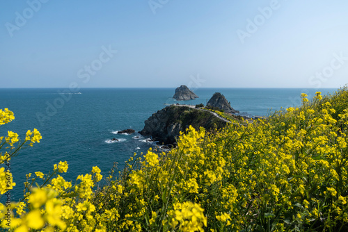 view of the coast of the sea